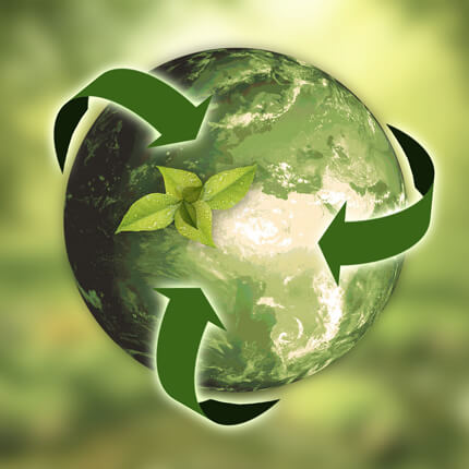 Sustainability green